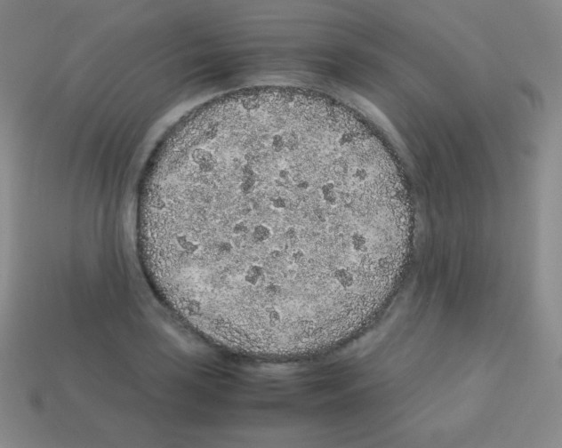 X0000113041035200910081207