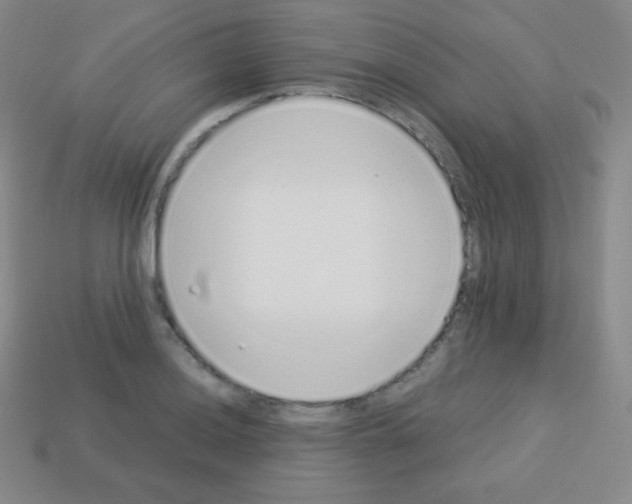 X0000113041036200910081207