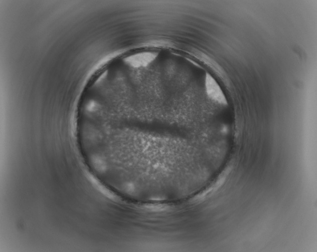 X0000113041037200910081207