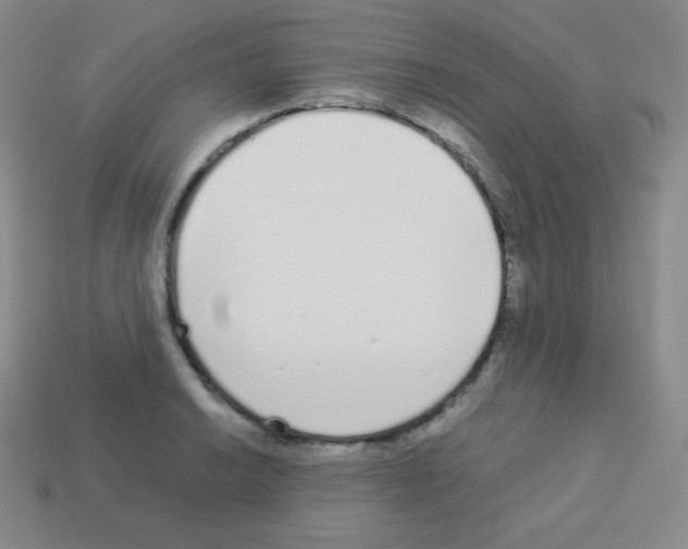 X0000113041038200910081207