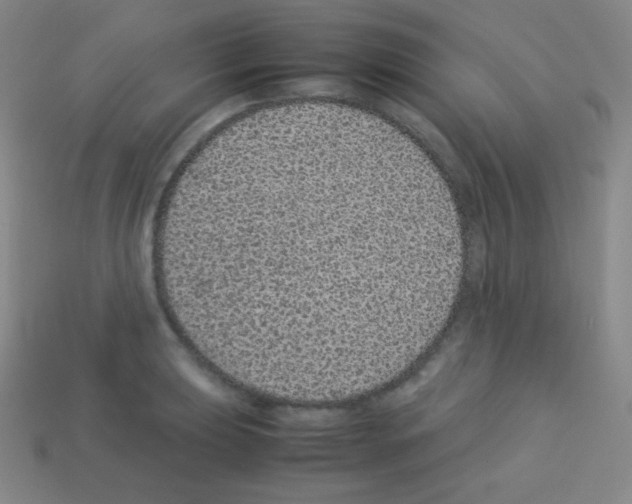 X0000113041039200910081207