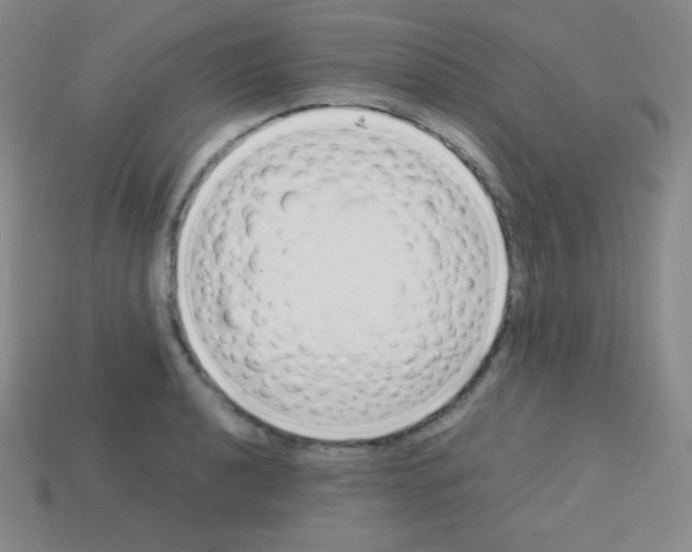 X0000113041040200910081207
