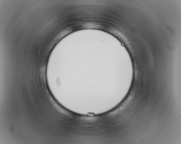 X0000113041041200910081207