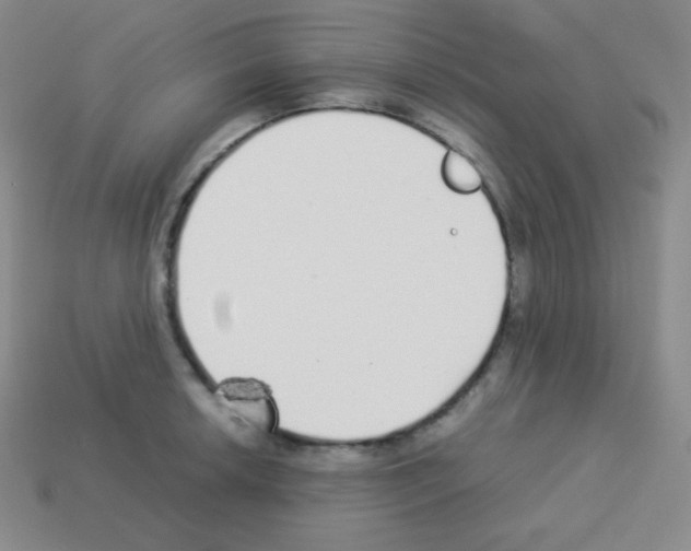 X0000113041042200910081207