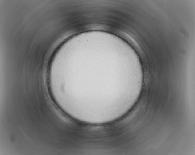 X0000113041043200910081207
