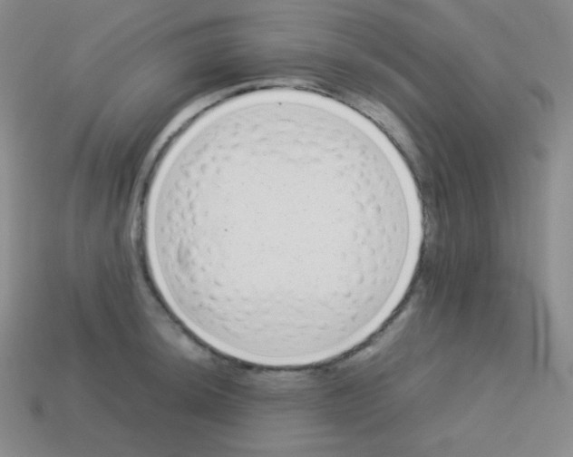 X0000113041044200910081207