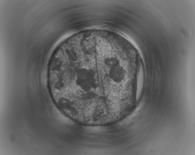 X0000113041045200910081207