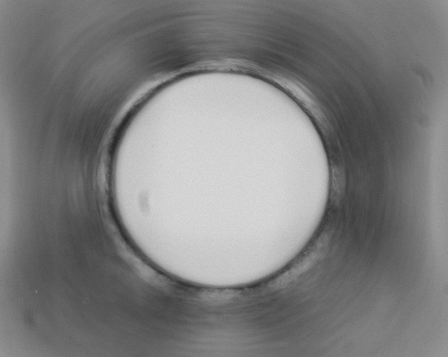 X0000113041046200910081207