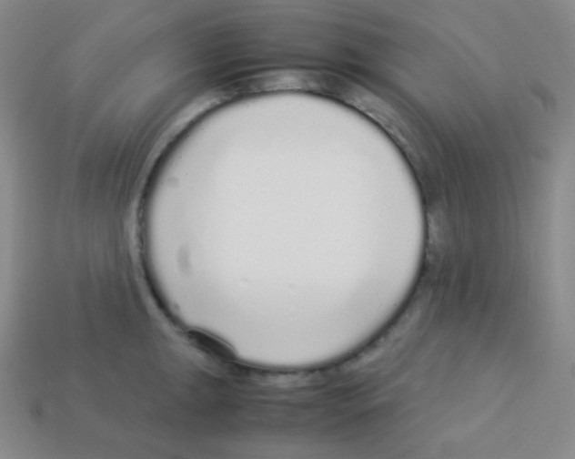 X0000113041047200910081207
