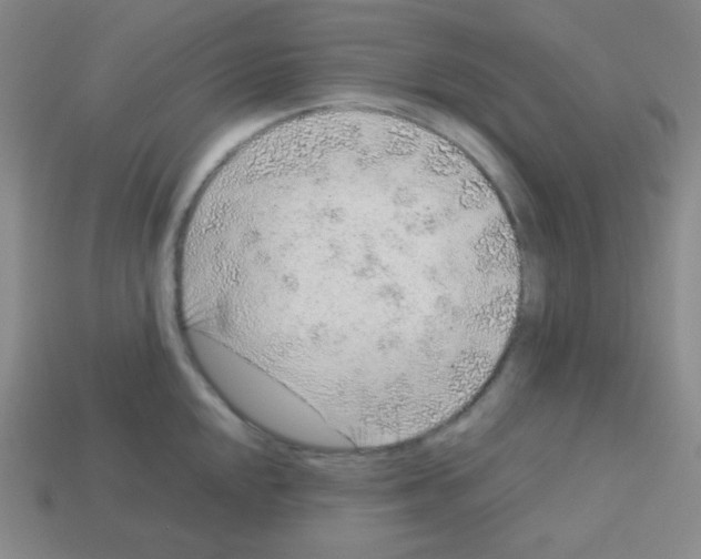 X0000113041048200910081207