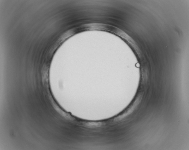 X0000113041049200910081207