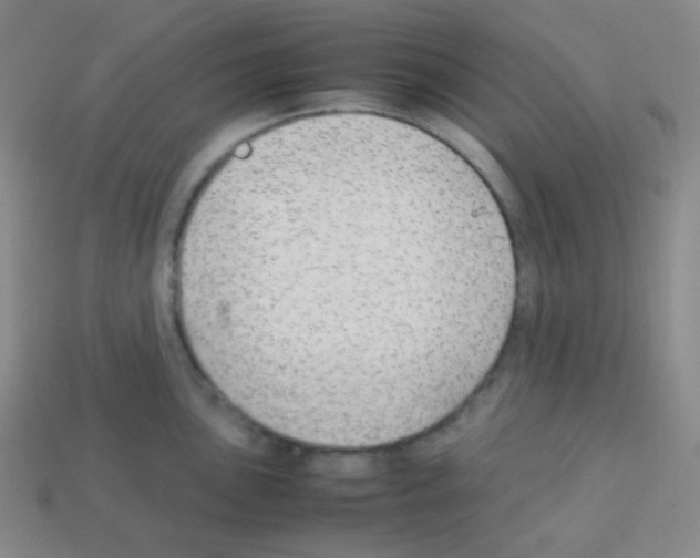 X0000113041051200910081207