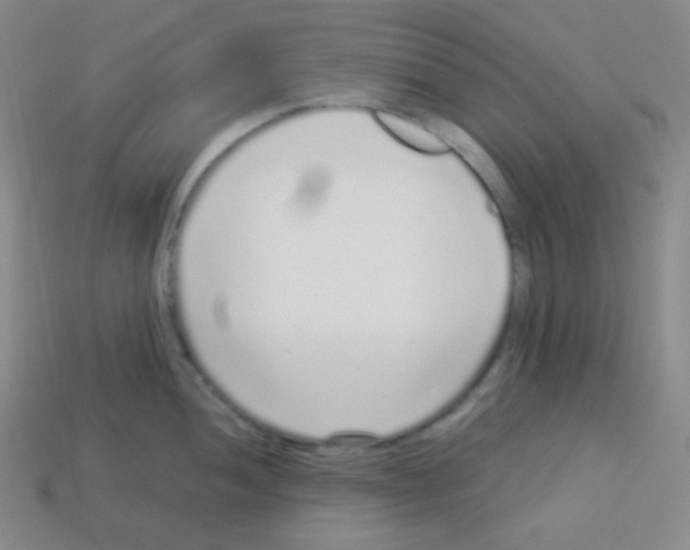 X0000113041052200910081207