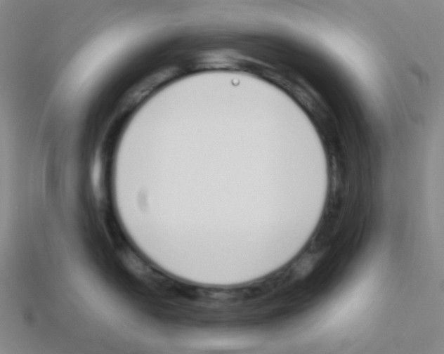 X0000113041054200910081207