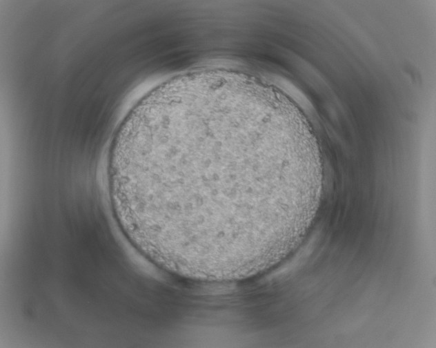 X0000113041055200910081207