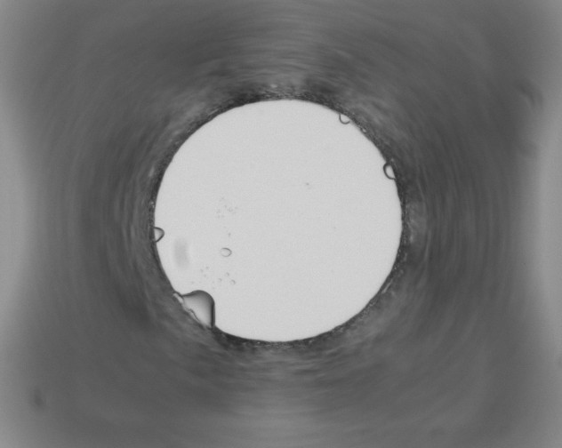 X0000113041057200910081206