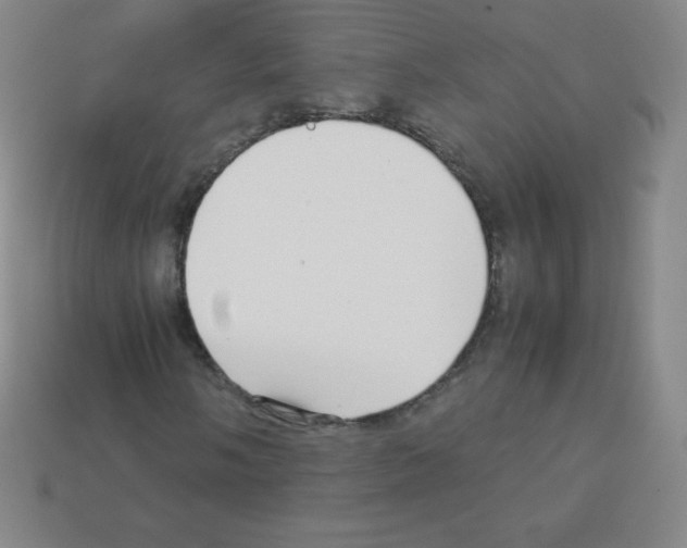 X0000113041058200910081206