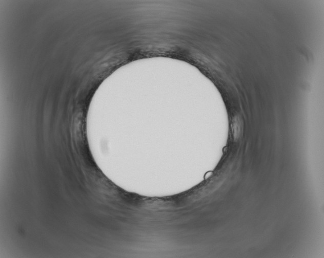 X0000113041059200910081206