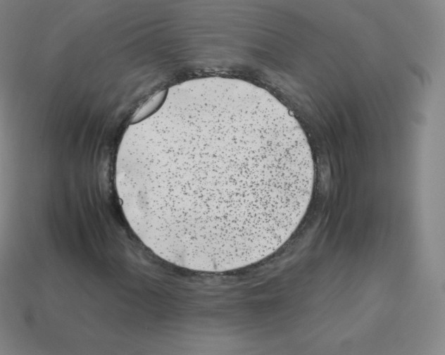 X0000113041060200910081206