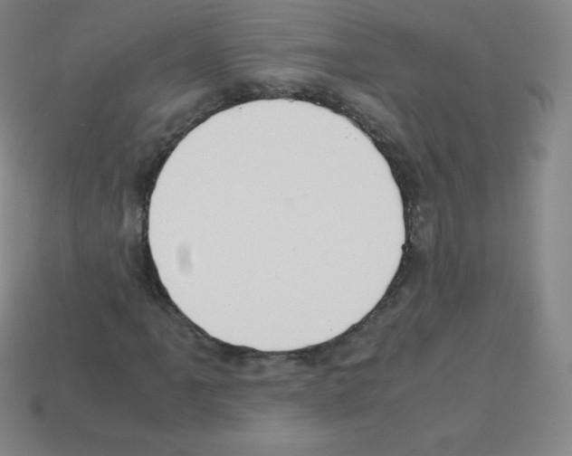 X0000113041061200910081206