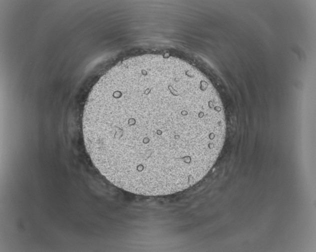 X0000113041063200910081206