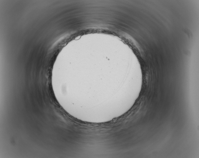 X0000113041064200910081206