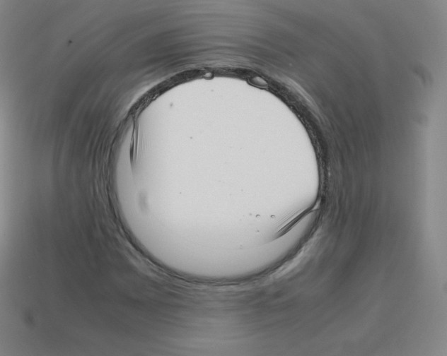 X0000113041065200910081206