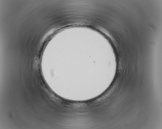 X0000113041067200910081206