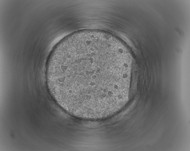 X0000113041071200910081206
