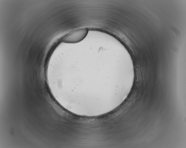 X0000113041072200910081206