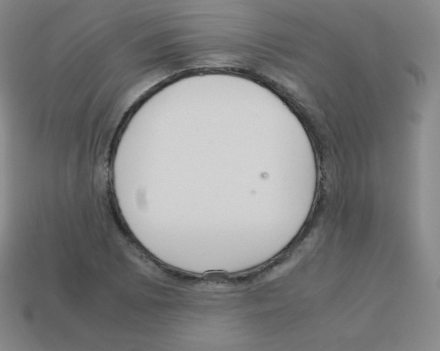 X0000113041073200910081206