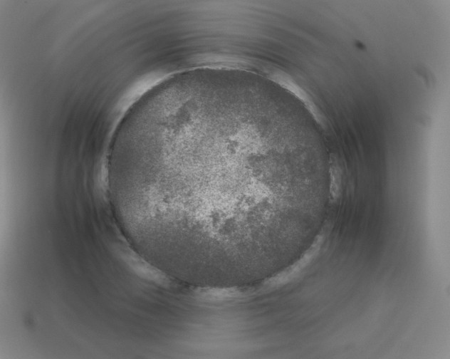 X0000113041074200910081206