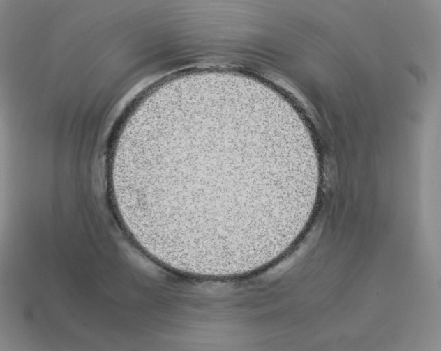 X0000113041075200910081206