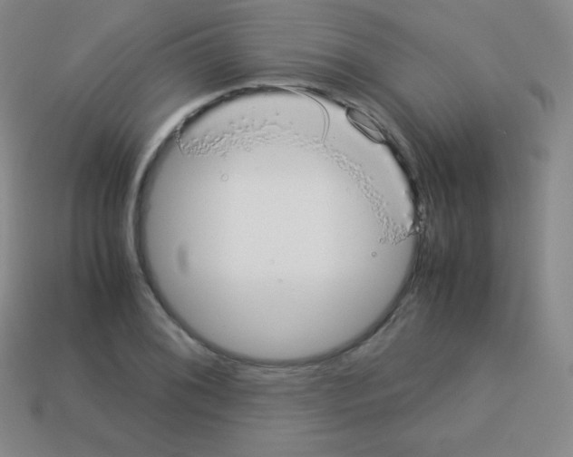 X0000113041076200910081206