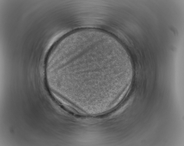 X0000113041077200910081206