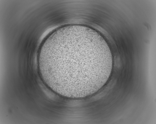 X0000113041078200910081206