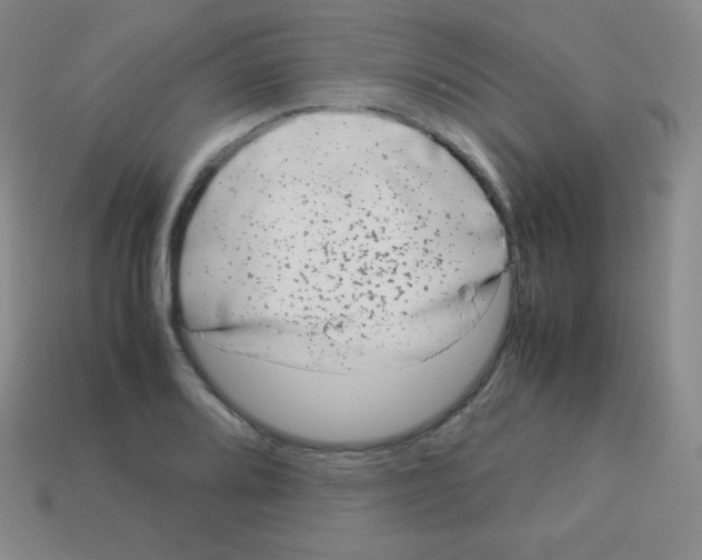 X0000113041080200910081206