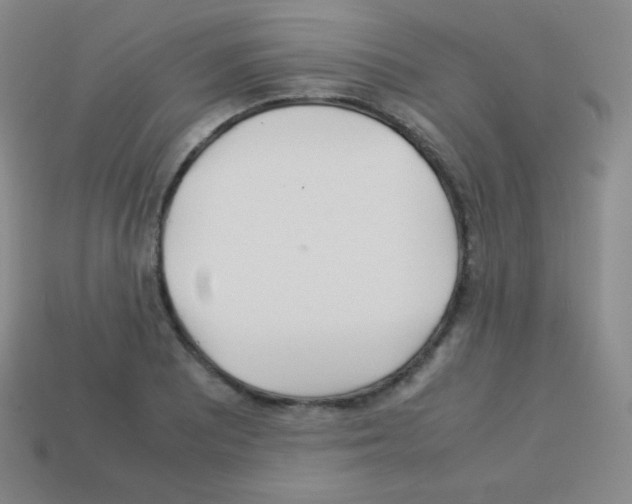 X0000113041081200910081206