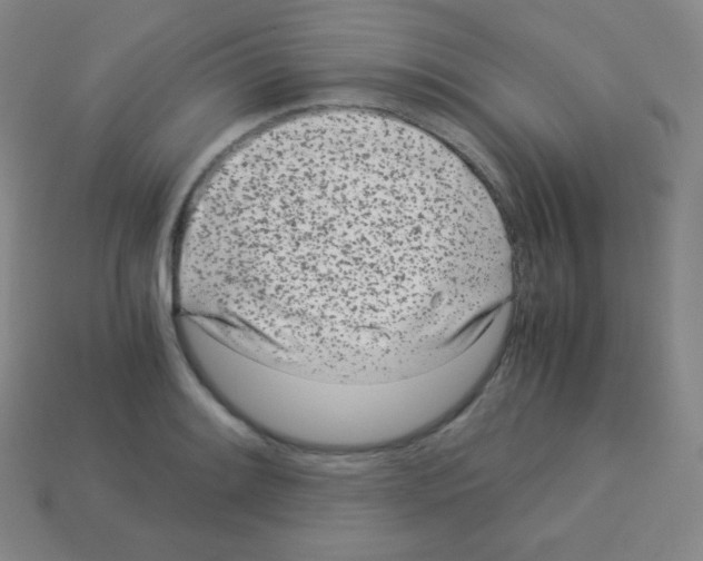 X0000113041084200910081206