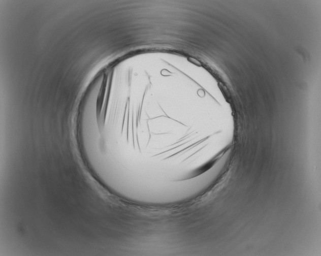 X0000113041085200910081206