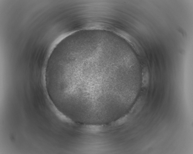 X0000113041086200910081206