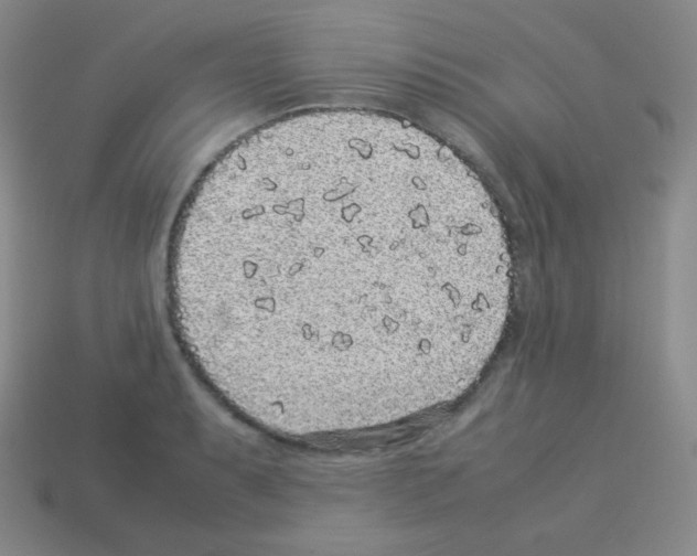 X0000113041087200910081206