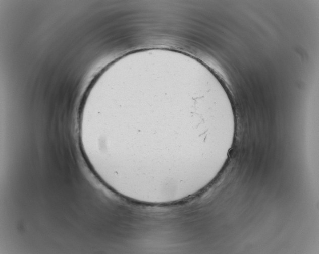 X0000113041088200910081206