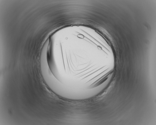 X0000113041089200910081206