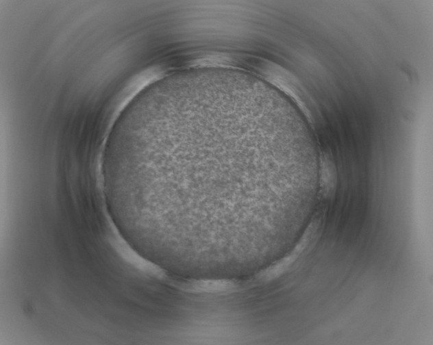 X0000113041090200910081206