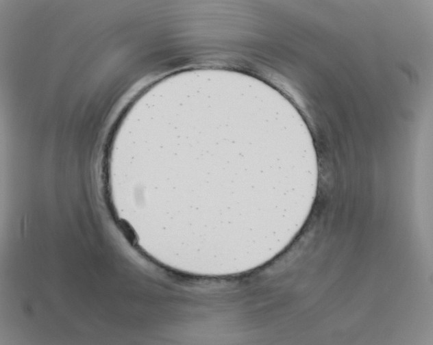 X0000113041091200910081206