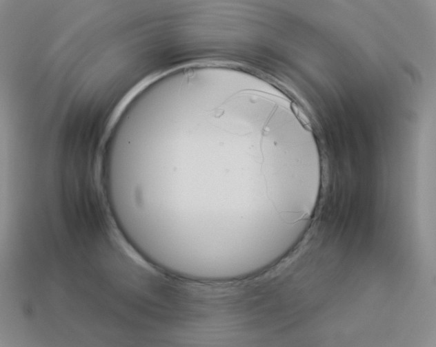 X0000113041092200910081206