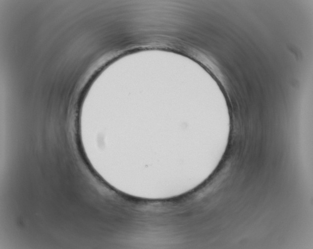 X0000113041093200910081206