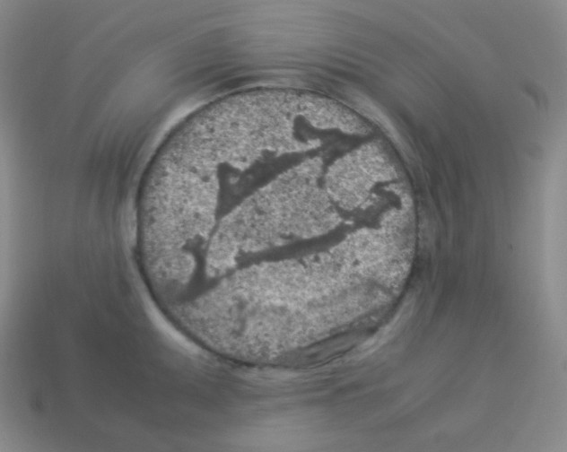 X0000113041095200910081206
