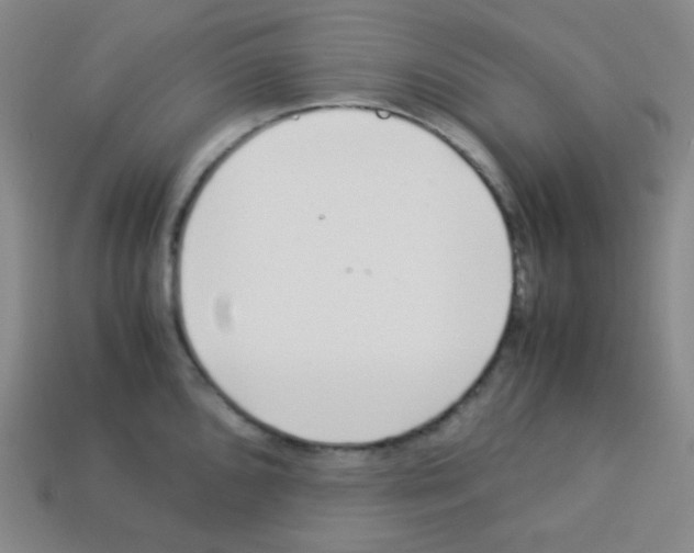 X0000113041096200910081206